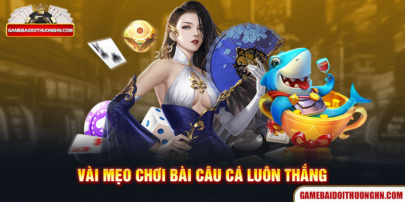 Vài mẹo chơi bài câu cá luôn thắng