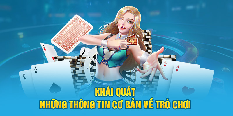  Khái quát những thông tin cơ bản về trò chơi 